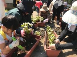 プランターに花を植えている人たちの写真