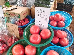 5040402コラボ3