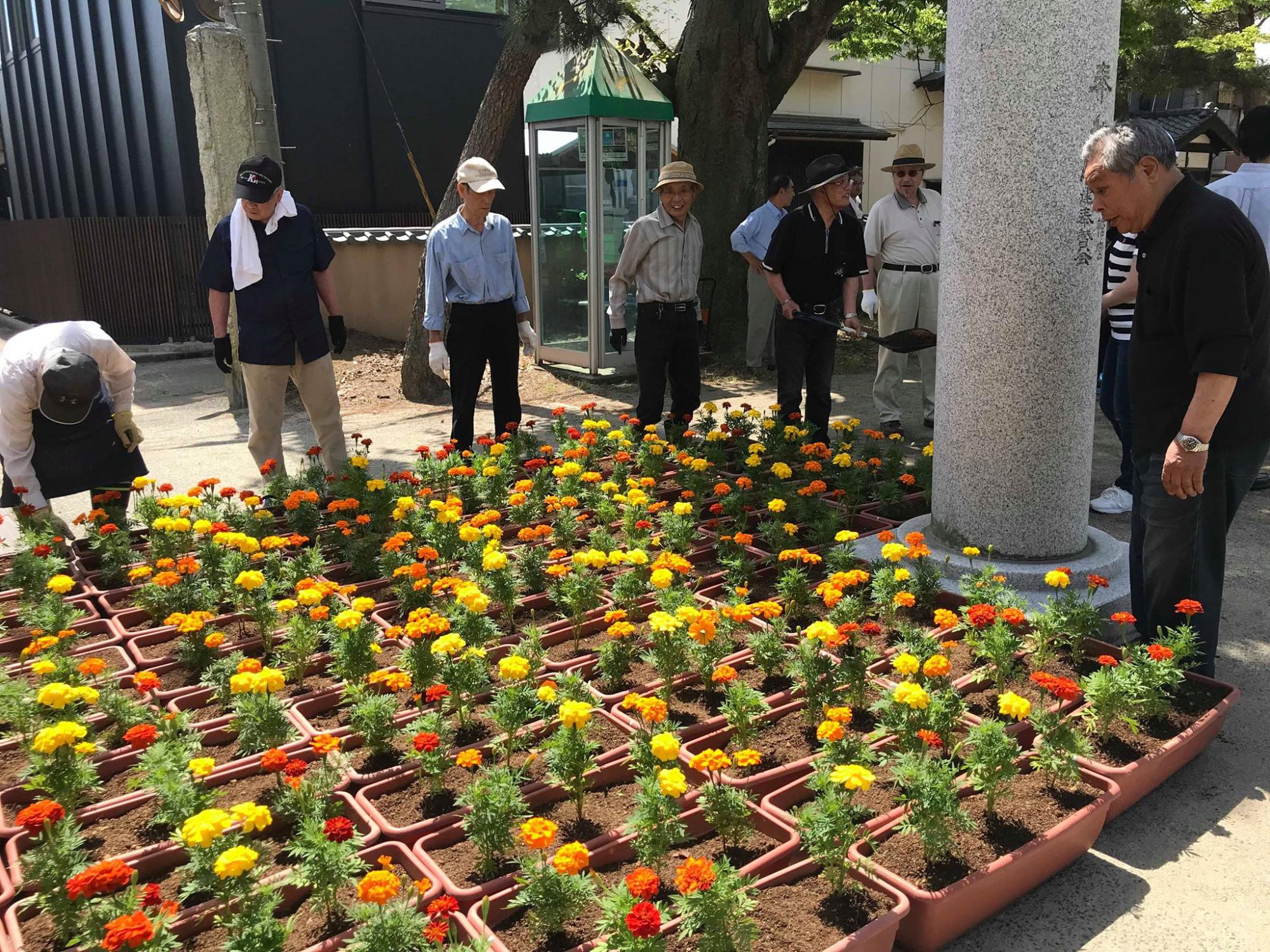 花植え作業の様子
