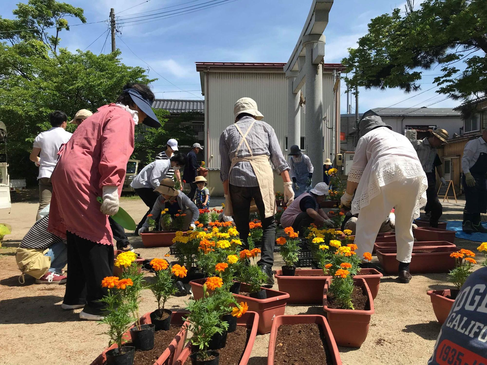 花植え作業の様子