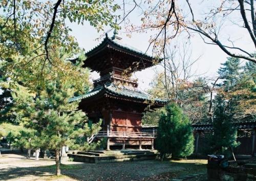 本成寺多宝塔 外観 北西より
