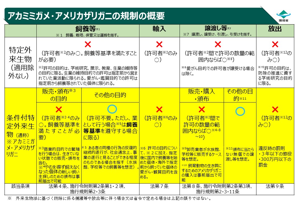 規制の概要の画像
