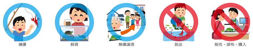 規制の内容の画像