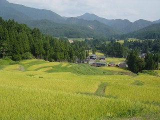 北五百川棚田