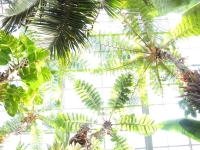 園内の植物
