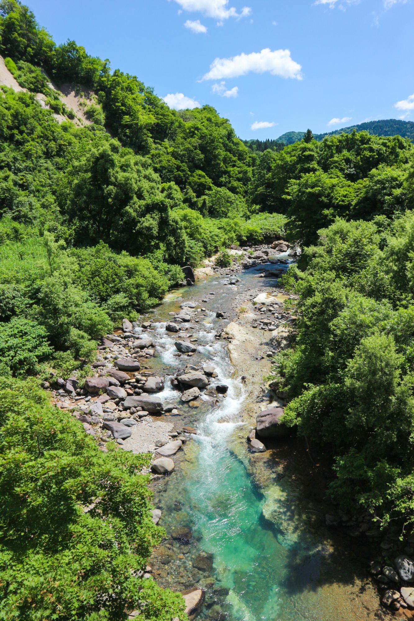 清流 「守門川」