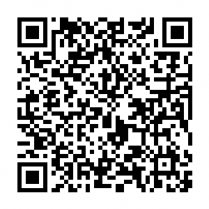 LINEキャンペーン2024二次元コード