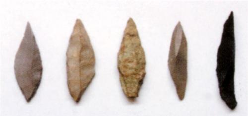 色などに違いのあるナイフ形石器5種類を近くから撮った写真
