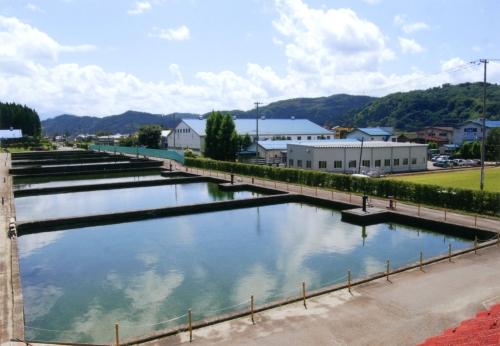 三条市水道局大崎浄水場1号･2号及び3号緩速ろ過池（北東から）