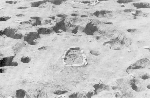 長野遺跡で発掘された竪穴式住居