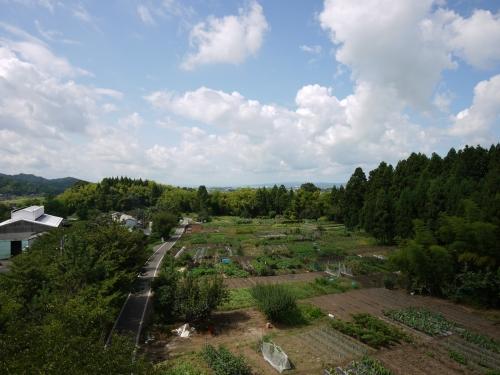 写真5 吉野屋遺跡