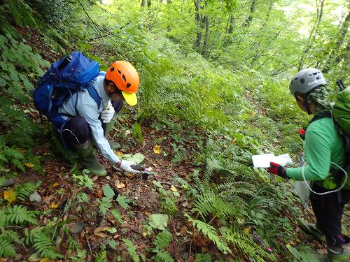 歴史の道八十里越 調査風景2