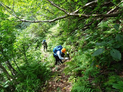 歴史の道八十里越え 調査風景4