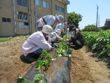 野菜作りを楽しむ教室の様子