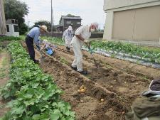 野菜作りを楽しむ教室の様子