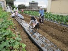 野菜作りを楽しむ教室の様子