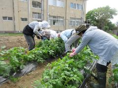 野菜作りを楽しむ教室の様子