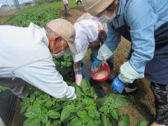 野菜作りを楽しむ教室の様子