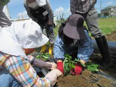 野菜作りを楽しむ教室の様子