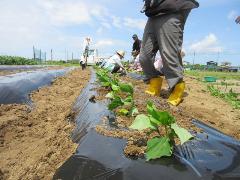 野菜作りを楽しむ教室の様子