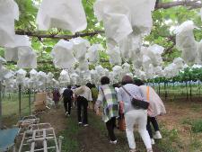 大人の社会見学の様子