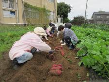 野菜作りを楽しむ教室の様子