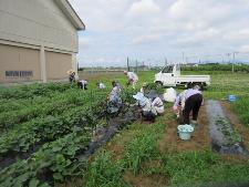 野菜作りを楽しむ教室の様子