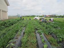 野菜づくりを楽しむ教室の様子