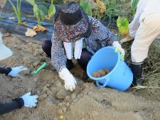 野菜作りを楽しむ教室の様子