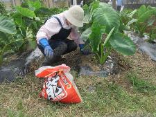 野菜作りを楽しむ教室の様子