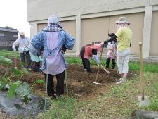 野菜作りを楽しむ教室の様子