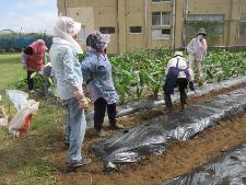 野菜作りを楽しむ教室の様子