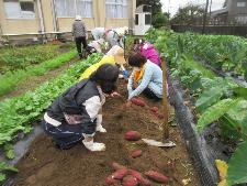 野菜作りを楽しむ教室の様子