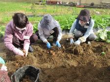 野菜作りを楽しむ教室の様子