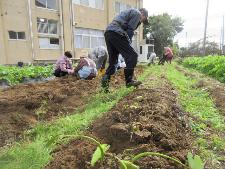 野菜作りを楽しむ教室の様子