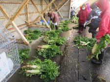 野菜作りを楽しむ教室の様子