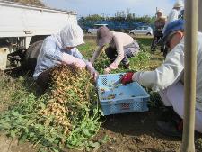 野菜作りを楽しむ教室の様子