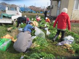 野菜作りを楽しむ教室の様子