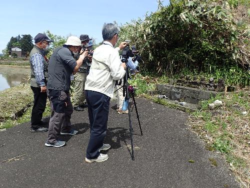 令和5年度 春の下田郷のいしぶみ写真教室