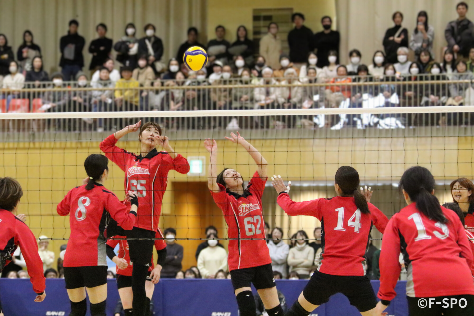 ドリーム・バレーボール in SANJO フレンドリー・マッチ