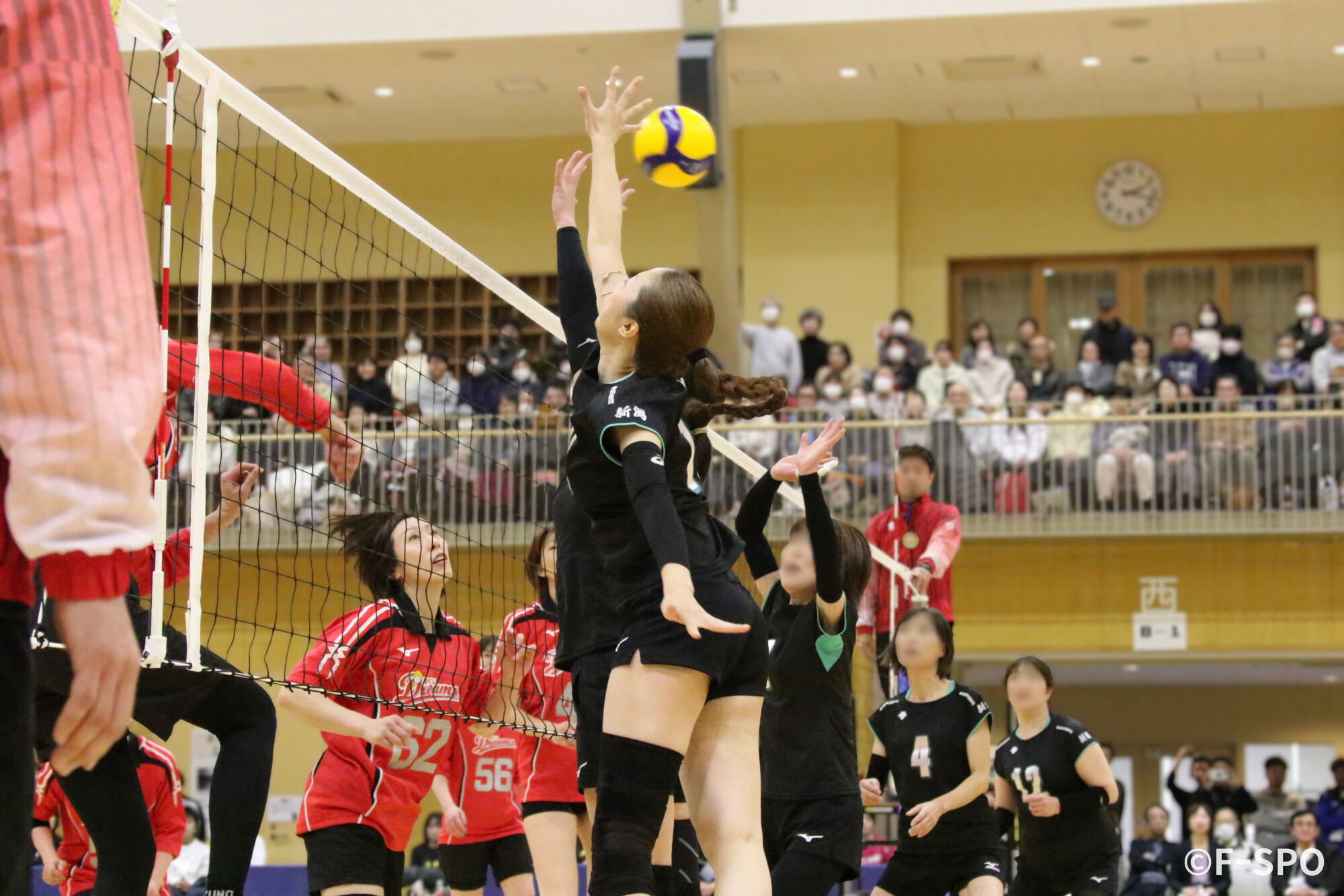 ドリーム・バレーボール in SANJO フレンドリー・マッチ