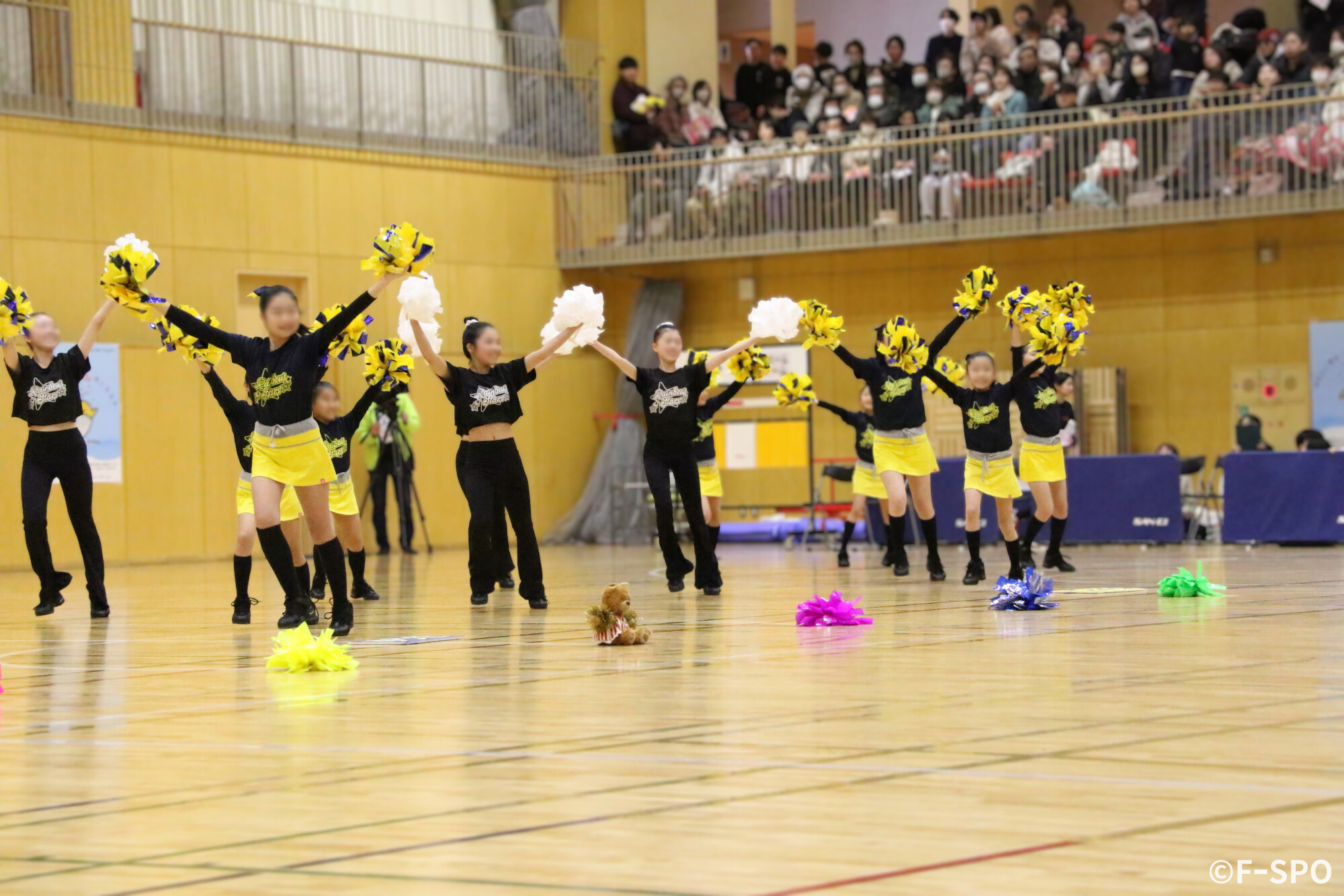 ドリーム・バレーボール in SANJO オープニングアクト