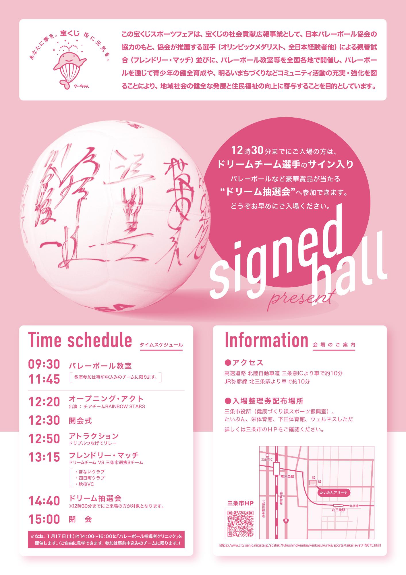 ドリーム・バレーボール in SANJO