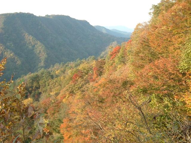 袴腰山の紅葉