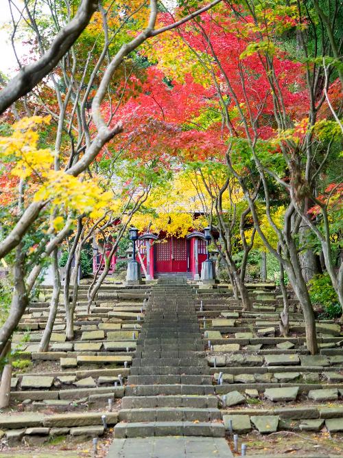 三条市の紅葉スポット 三条市