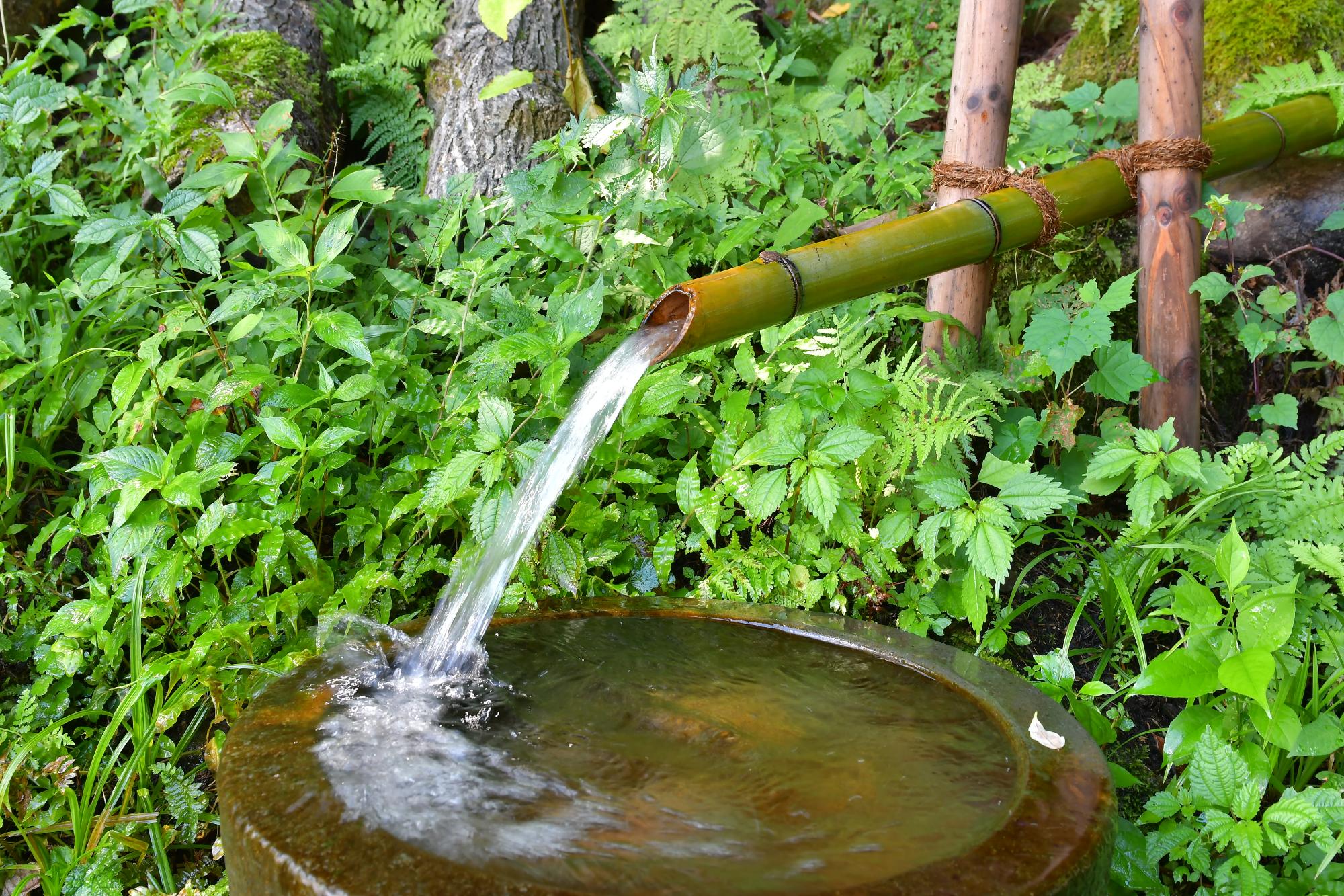 城ノ腰の清水