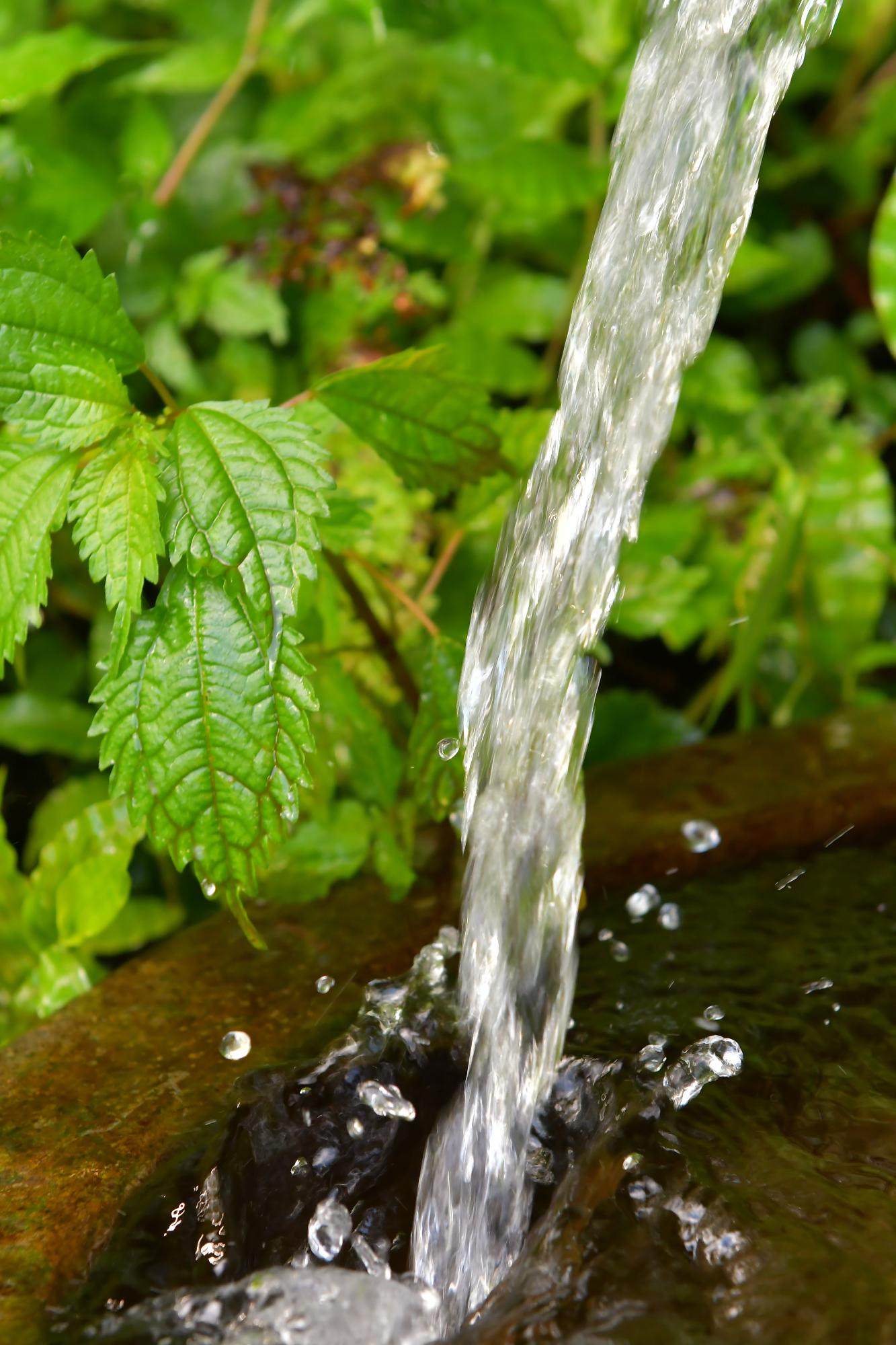 吉ヶ平の水