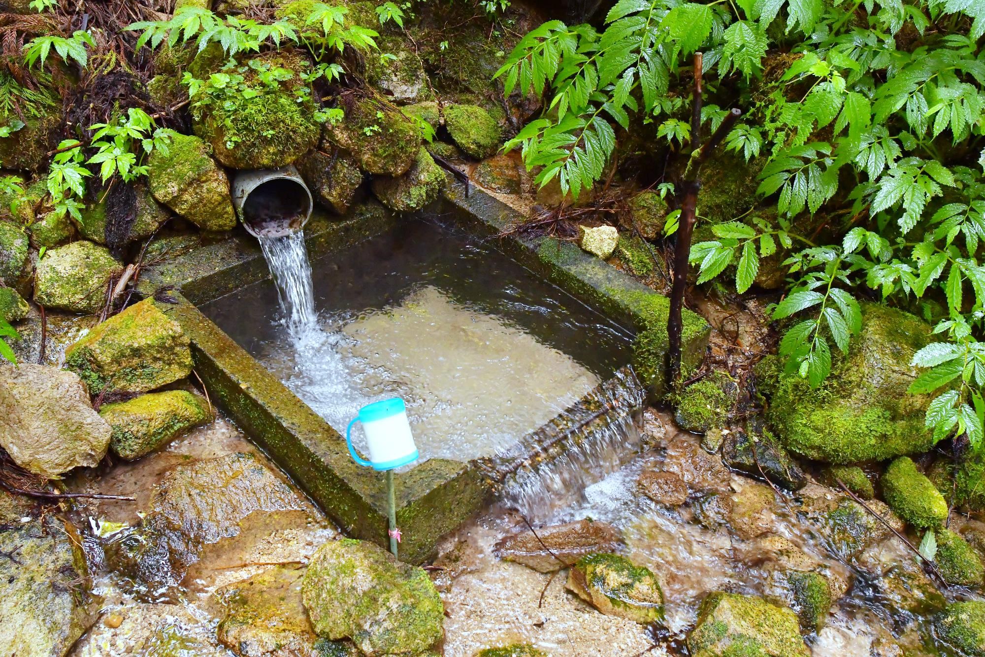 大久保の清水 湧出か所