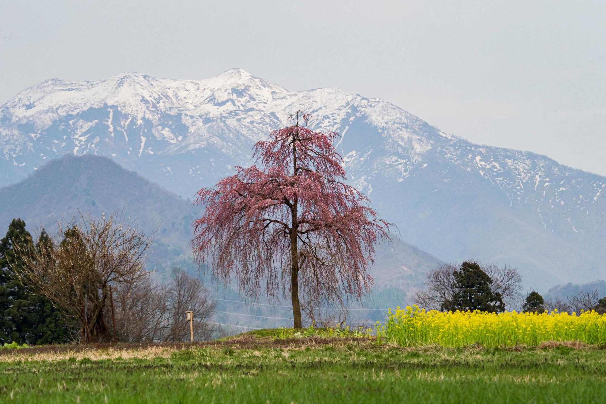 下田の風景