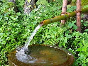 下田の湧水